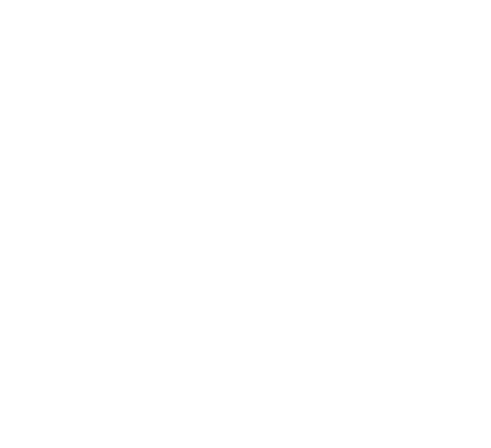 The Bull Pizza Co.