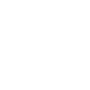 Dark Arrow Inc